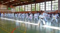 Weltmeisterin gibt 115 Karatekas Anweisungen im Karate Dojo Zunsweier